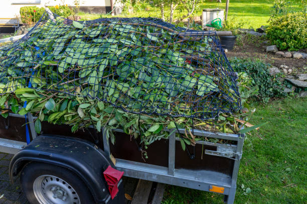 Best Residential Junk Removal  in Frostburg, MD